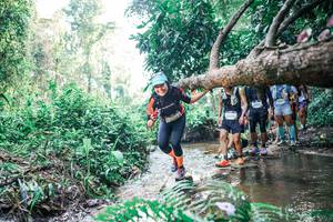 BIB: 
                            <button type="button" onclick="openModal(25457139)" class="btn btn-primary btn-sm float-right btn-popup" data-toggle="modal" data-target=".modal-high-quality">
                        <i class="fas fa-shopping-cart"></i> Add to Cart
                    </button>
                                            <button type="button" onclick="isThisMe(25457139, true)" class="btn btn-success btn-sm float-right btn-popup btn-isme hidden" data-toggle="tooltip" data-placement="bottom" title="นี่คือรูปของคุณใช่ไหม คลิกที่นี่เพื่อเอาเข้าอัลบั้ม">
                        <i class="fas fa-plus"></i> Add to album
                    </button>
                    <button type="button" onclick="isThisMe(25457139, false)" class="btn btn-warning btn-sm float-right btn-popup btn-isnotme hidden">
                        <i class="fas fa-ban"></i> Remove from album
                    </button>